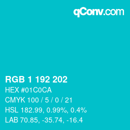 カラーコード: RGB 1 192 202 | qconv.com