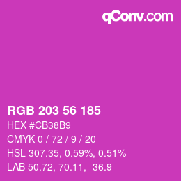 Código de color: RGB 203 56 185 | qconv.com