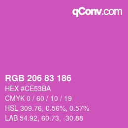 Color code: RGB 206 83 186 | qconv.com