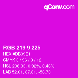 Color code: RGB 219 9 225 | qconv.com