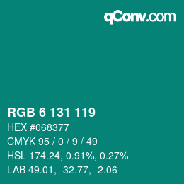 Color code: RGB 6 131 119 | qconv.com