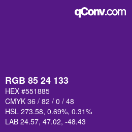 Color code: RGB 85 24 133 | qconv.com