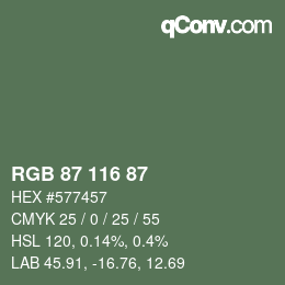 Código de color: RGB 87 116 87 | qconv.com