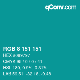 Farbcode: RGB 8 151 151 | qconv.com