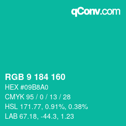 カラーコード: RGB 9 184 160 | qconv.com