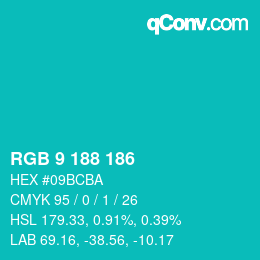 Color code: RGB 9 188 186 | qconv.com