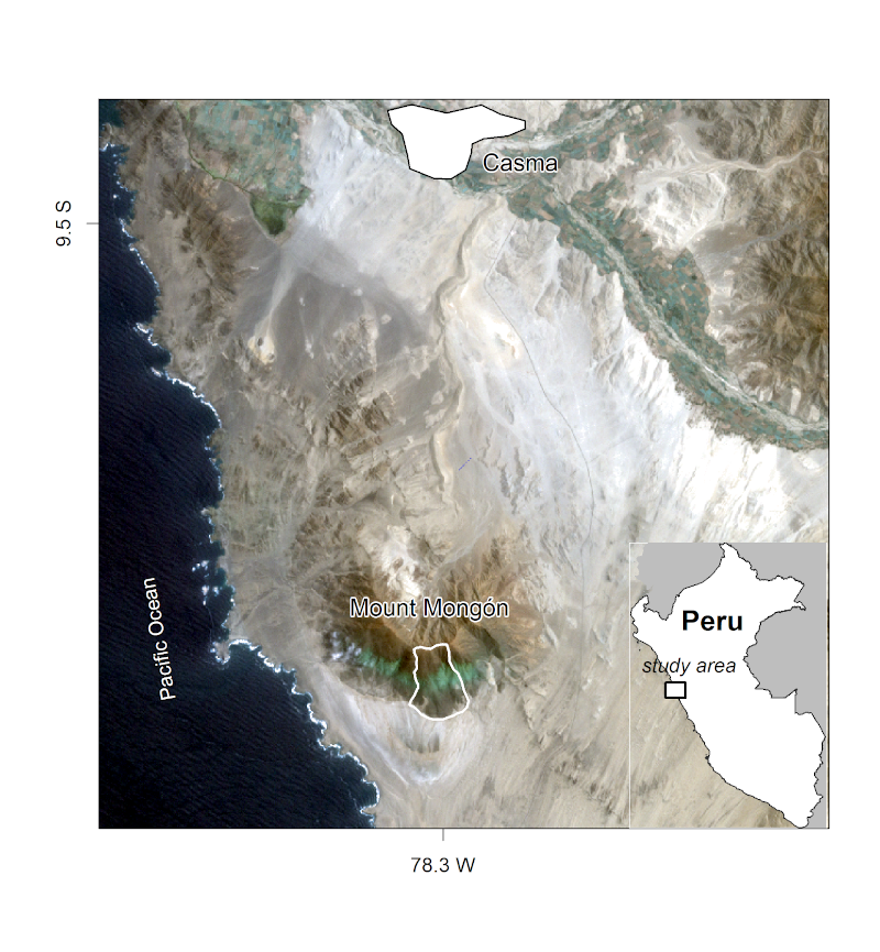 The Mt. Mongón study area. Figure taken from Muenchow, Schratz, and Brenning (2017).