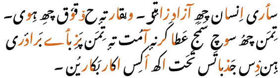 سٲری اِنسان چھِ آزاد زامٕتؠ۔ وؠقار تہٕ حۆقوٗق چھِ ہِوی۔ تِمَن چھُ سوچ سَمَج عَطا کَرنہٕ آمُت تہٕ تِمَن پَزِ بٲے بَرادٔری ہٕنٛدِس جَذباتَس تَحَت اکھ أکِس اکار بَکار یُن ۔