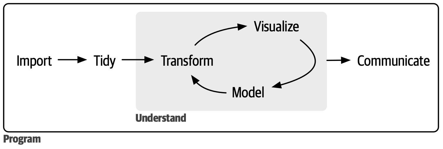 A diagram displaying the data science cycle: Import -> Tidy -> Understand  (which has the phases Transform -> Visualize -> Model in a cycle) ->  Communicate. Surrounding all of these is Program. 