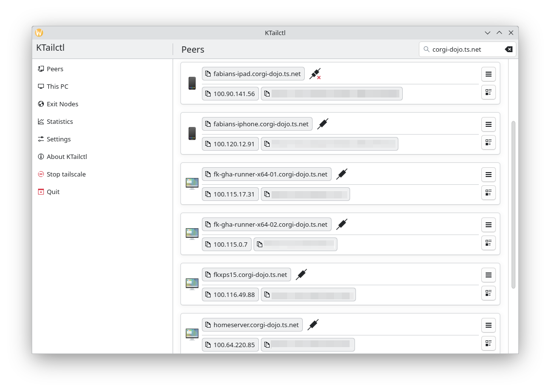 Tailscale peer list in KTailctl