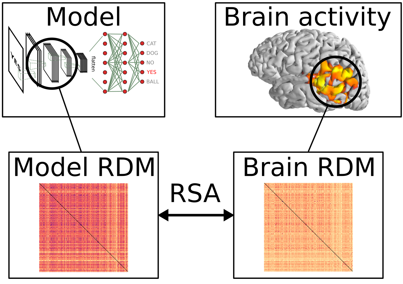 https://raw.githubusercontent.com/wmvanvliet/mne-rsa/master/doc/rsa.png