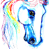 RainbowMiner