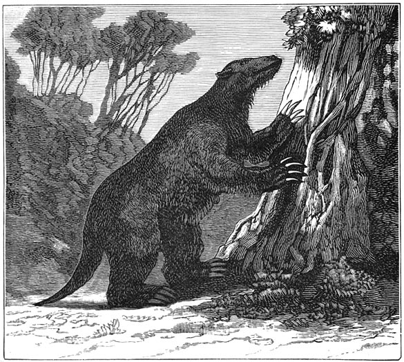 Fig. 299. De mylodon (Pliocene periode, Zuid Amerika).