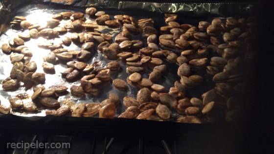 Healing Pumpkin Seeds