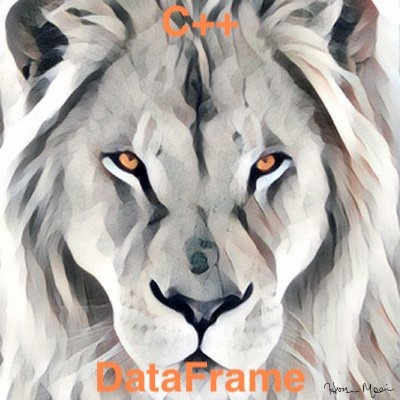 DataFrame