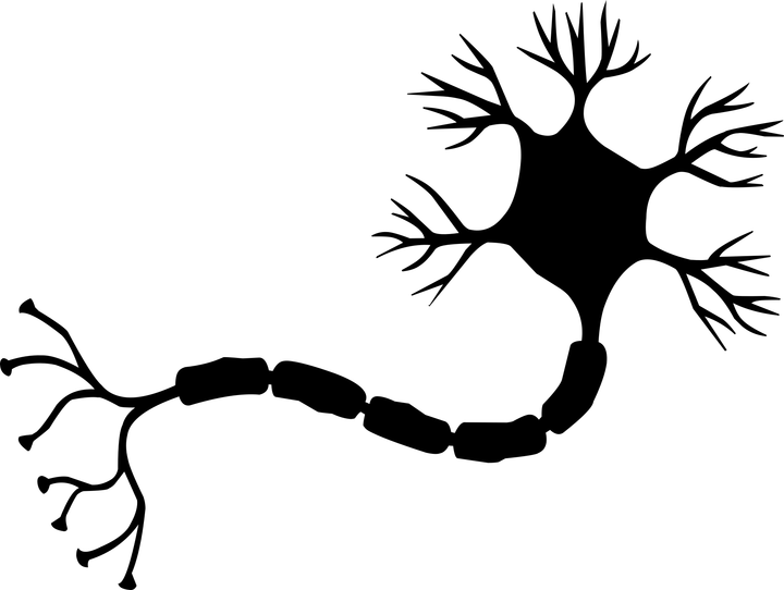 nano-neuron