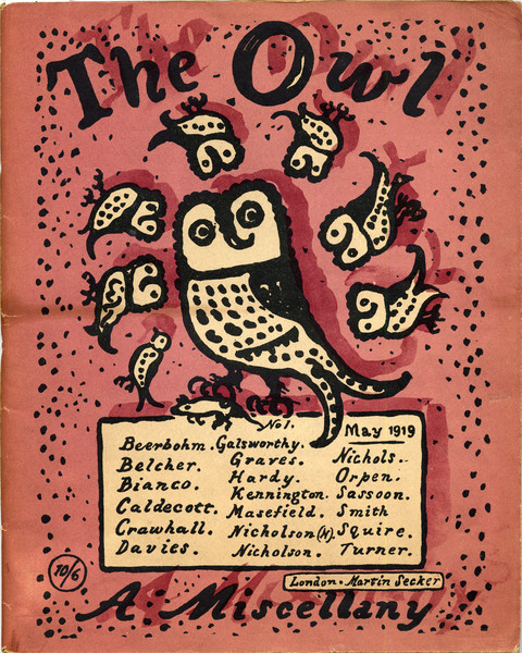 Owl cover image