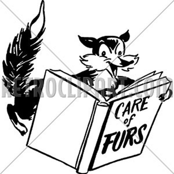 Care Of Furs