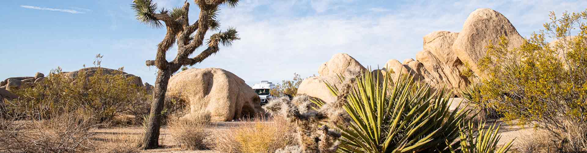 roadsurfer campervan in usa desert