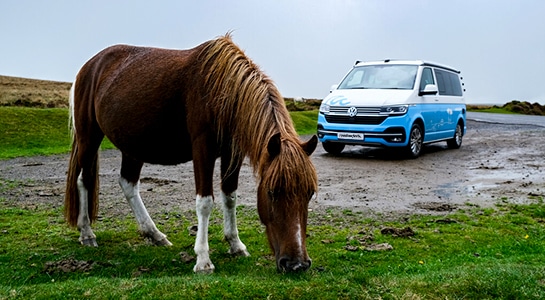 horse and blue camper in nature of england