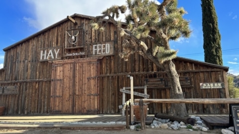 Visit Pioneertown and walk around Mane Street