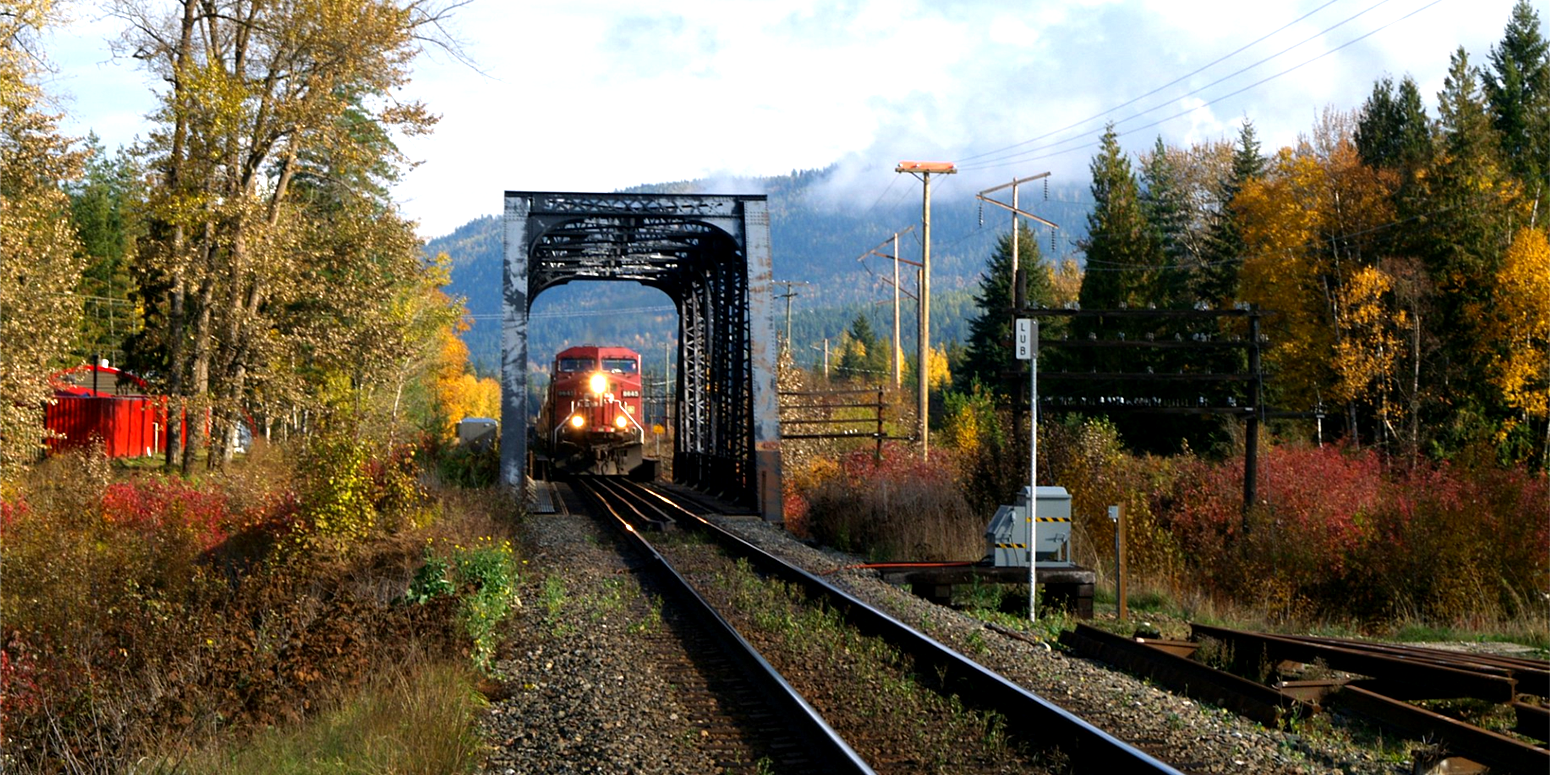 train going over a bridge surrounded by colorful trees