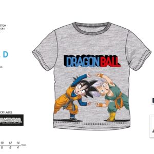 Dragon Ball T-shirt