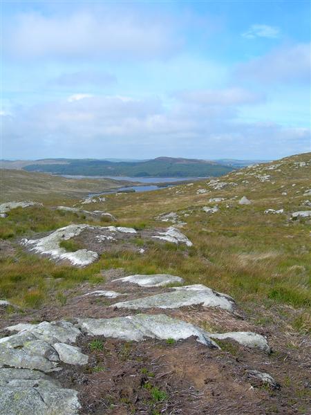 Moorland View