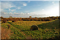 SK9972 : Greetwell Hollow Nature Reserve, Lincoln by John Bennett