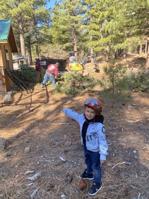 Photo of Northern Nevada Tree Experts - Sparks, NV, US. Lead branch manager.  Sure is bossy