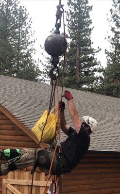 Photo of Northern Nevada Tree Experts - Sparks, NV, US.