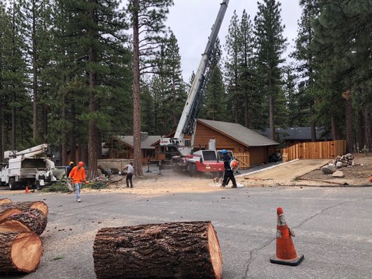 Photo of Northern Nevada Tree Experts - Sparks, NV, US.