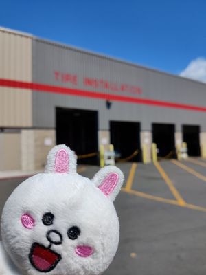 Photo of Costco Tire Center - Honolulu, HI, US. Cony is a great companion while my car gets new tires!