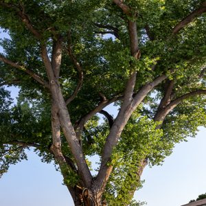 San Pedro Riparian National Conservation Area on Yelp