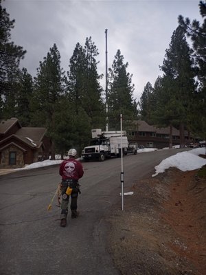 Photo of Northern Nevada Tree Experts - Sparks, NV, US.