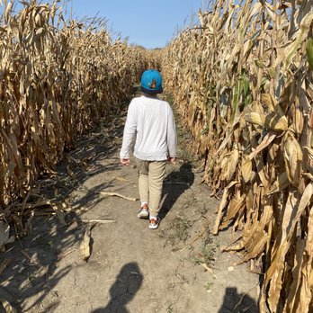 Corn Maze