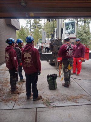 Photo of Northern Nevada Tree Experts - Sparks, NV, US.