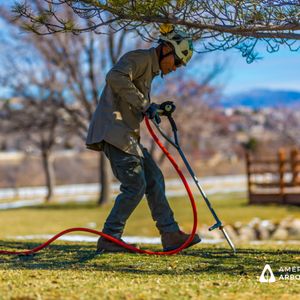 American Arborists on Yelp