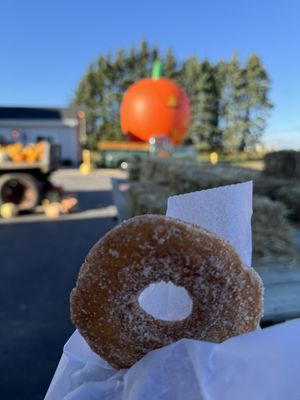 Photo of Swan Pumpkin Farm - Franksville, WI, US. Apple cider donuts, so fresh and delicious