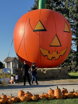 Photo of Swan Pumpkin Farm - Franksville, WI, US. Entrance