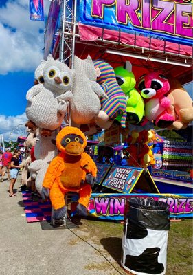 Photo of Volusia County Fair Expo - Deland, FL, US.