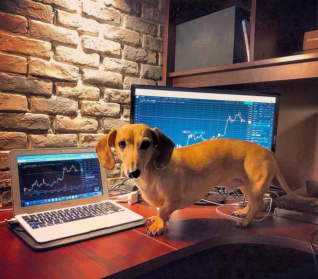 TradingView Chart on Instagram @mytradingsetup