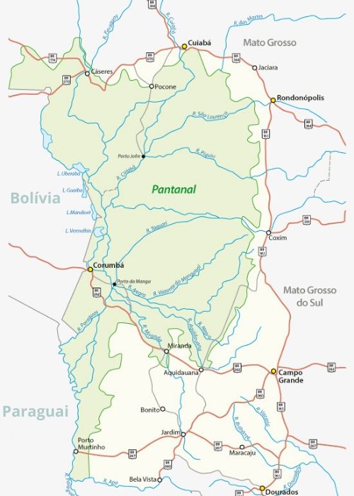 Pantanal - Menor bioma brasileiro - Ong Mais Vida