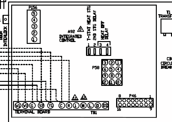 tunicate diagram