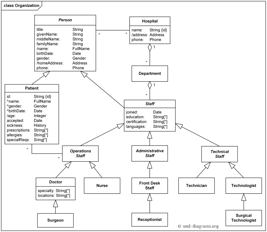 acorn worm diagram