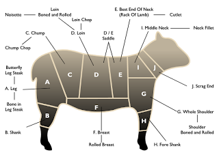 lamb shank diagram