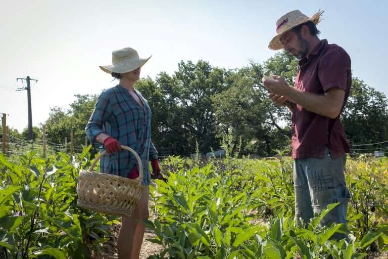 Trainees learn the skills of farming at the Hundredth Monkey Farm, where aspiring farmers can benefit from the same type of coac