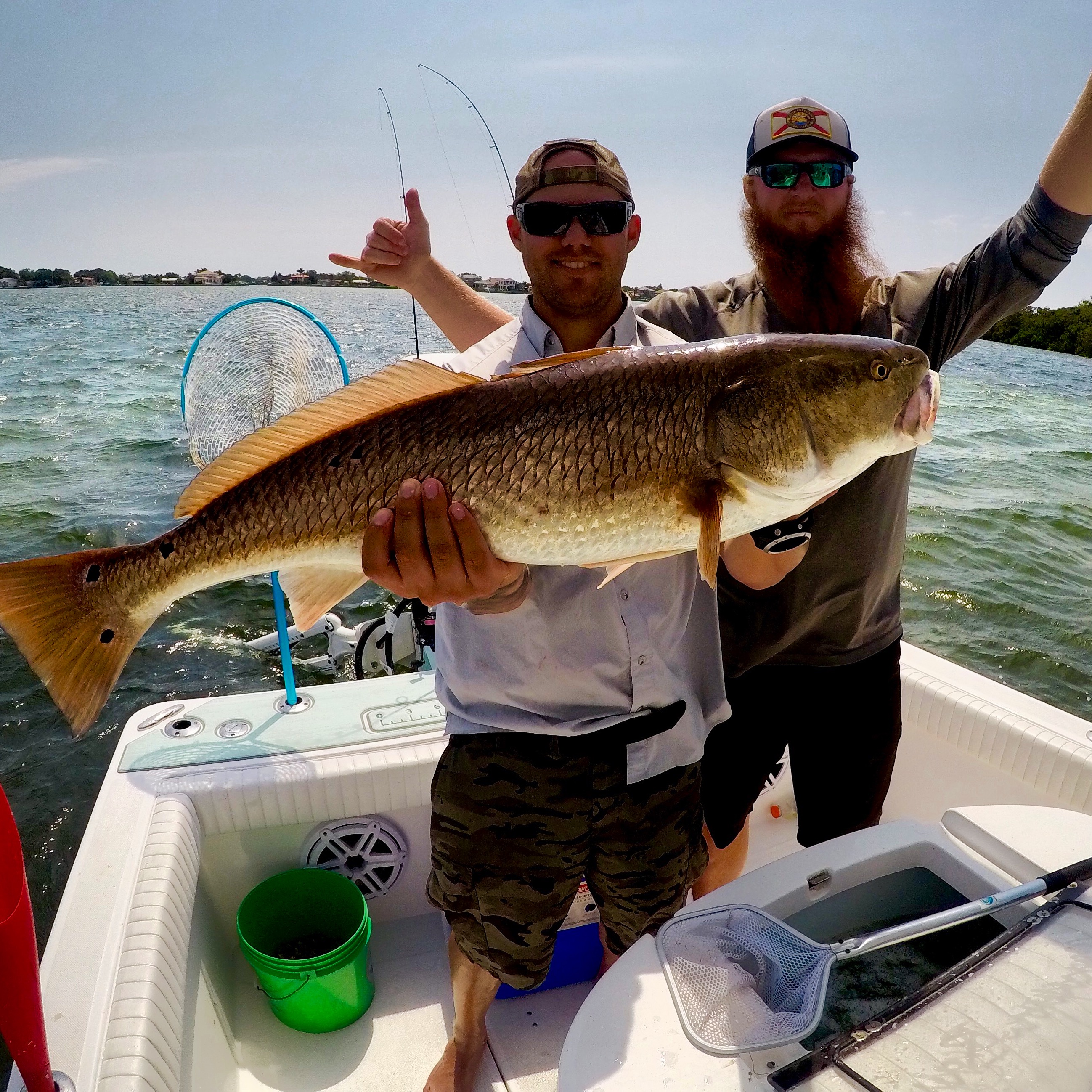 Redfish Salinity Now