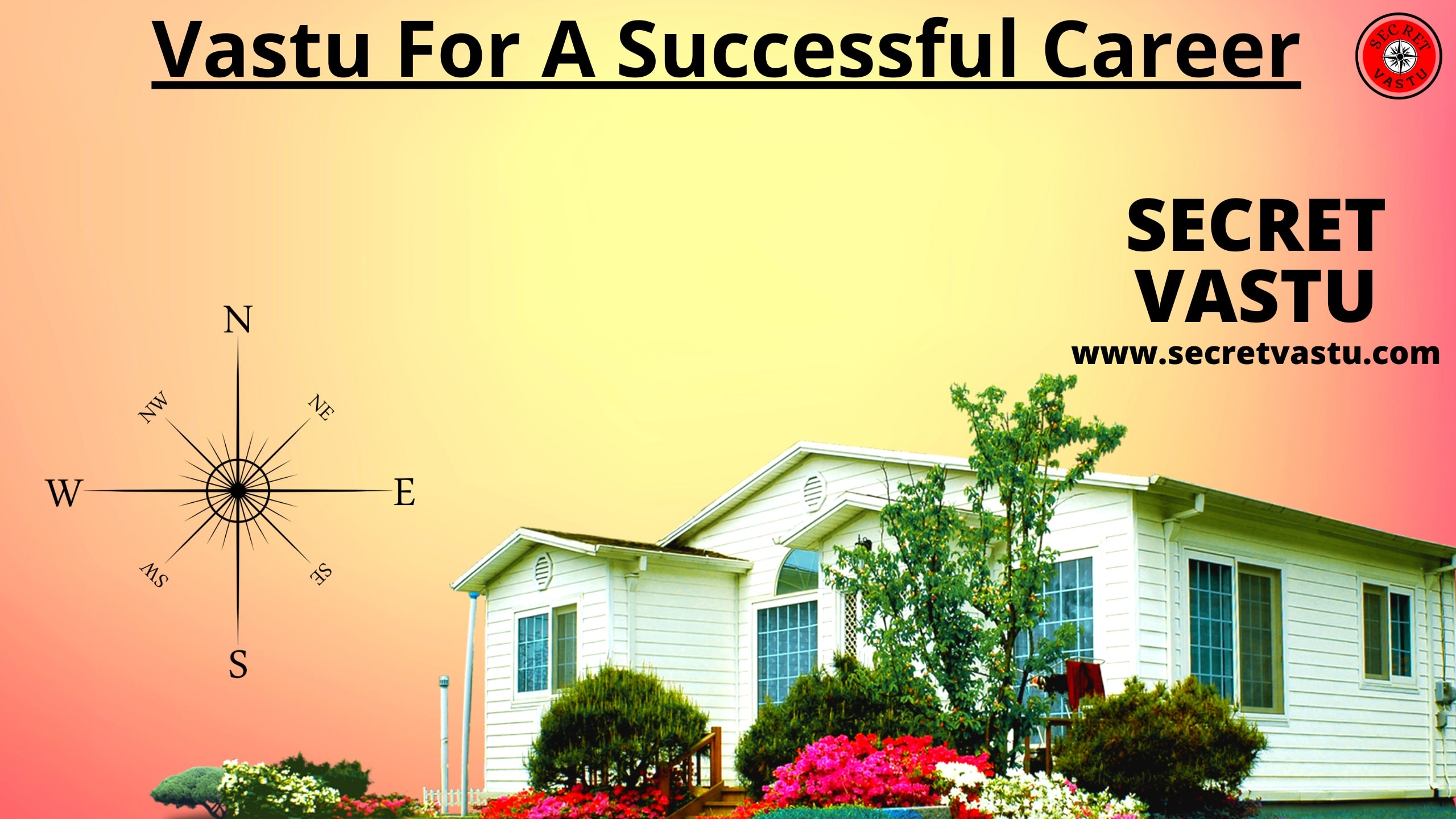 vastu successful career