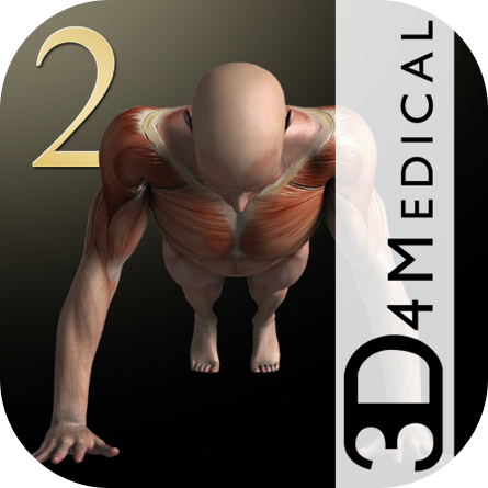 iMuscle2.png